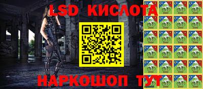 шишки Чебоксары