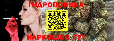 шишки Чебоксары