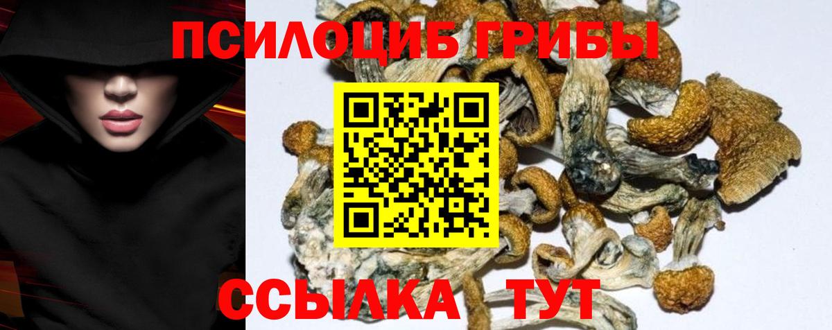 Галлюциногенные грибы мухоморы Бахчисарай